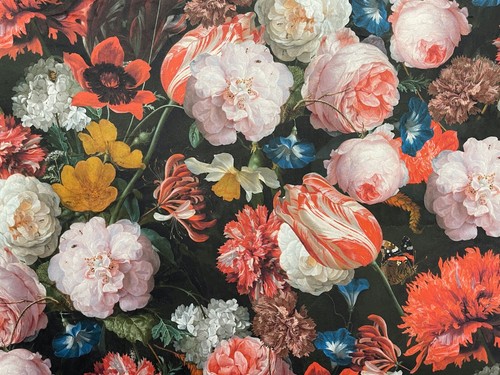Jubilee peony rose velvet - peony,