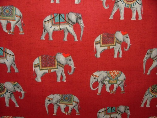Jaipur indian elephant rosso - jaipur,