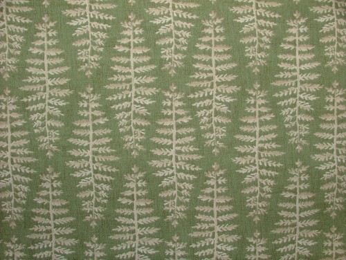 Botanical fern leaf - botanical,