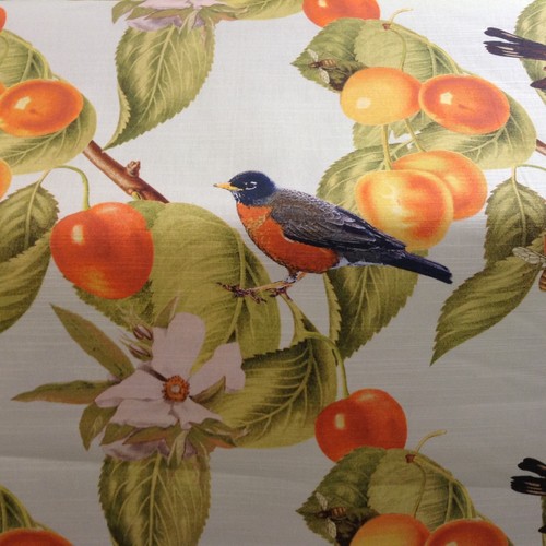 Dawn chorus orchard cotton - chorus,