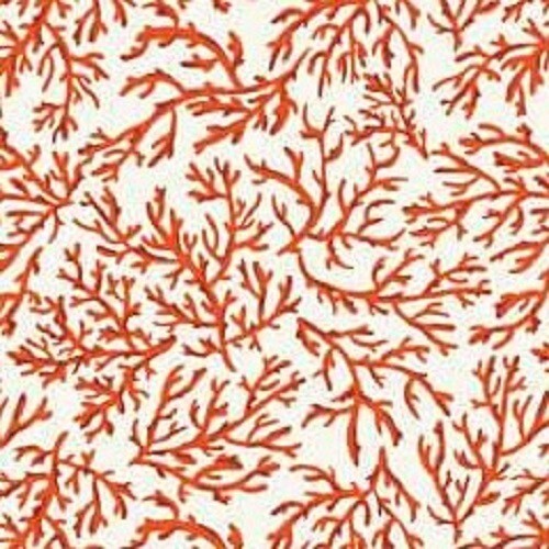 Clarke and seabed coral - clarke,