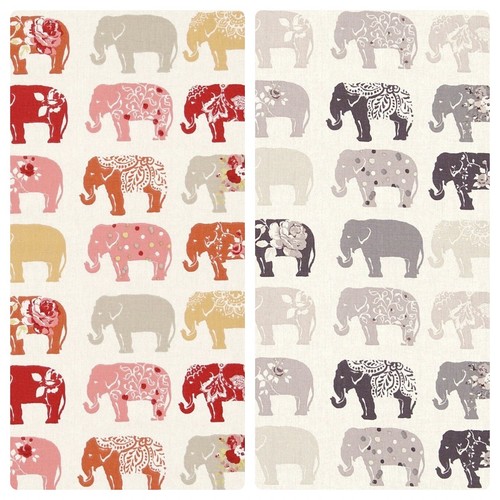 Clarke and elephants - clarke,